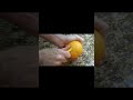 how to peel an orange with amazing gadget #viral #youtubeshorts #trending #yt