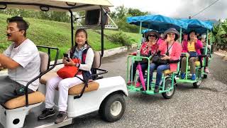 池上耘禾莊園安全接龍蜈蚣車  109年10月19日 大台南婦女會  一行貴賓