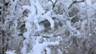 The Magic of Winter  Hoar Frost.wmv