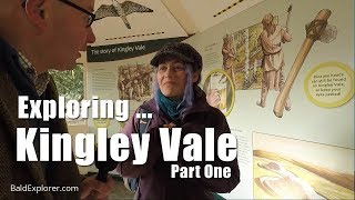 Exploring Sussex: The Ancient Yew Trees of Kingley Vale - Part 1