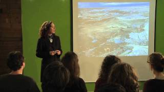 TEDxGeorgiaStrait -- Tzeporah Berman -- The New Energy Revolution