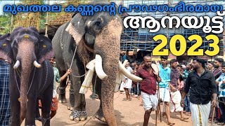 mukhathala pooram 2023| മുഖത്തല ആനയൂട്ട്|#mukhathalapooram2023 #mukhathalapooram#mukhathala