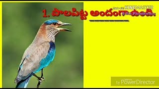 4.వ.తరగతి -బాలతిమ్మరుసు , భాషను గురించి తెలుసుకుందాం