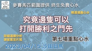 港經佬賽馬貼士及分析｜第七場參賽馬匹資料｜15-04-2023 沙田十場日馬田草賽事｜免費心水及賽馬貼士｜全方位博彩及投資頻道｜足球｜賽馬｜股票｜樓市 #賽馬貼士