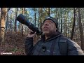 birding on the pequot trails at foxwoods resort casino in connecticut.