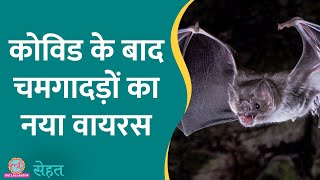 क्या है ये नया Khosta-2 Virus जो Bats से इंसानों में फैल सकता है | Sehat EP 492 | Corona Virus