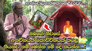 ඔබගේ නිවසේ අනවිනයක් කොඩිවිනයක් කරල තියනව නම් මෙන්න මේ දේ කරන්න...! | Tv Lanka