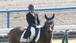 【競馬】2023年 第25回京都ジャンプステークス(J・GⅢ)【エコロデュエル / 草野太郎】