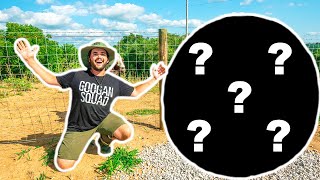 I Bought the MEANEST Animal at the AUCTION for My BACKYARD FARM!!! (Bad Idea)