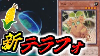 【#遊戯王】しれっと出てた次なるテラフォーミング「ネコーン」【カード紹介】【遊戯王ＯＣＧ】