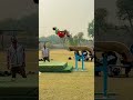 respect hars suku hara🔥😱 viralvideo habibi acrobatics parkour stunt