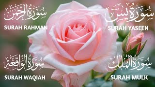 Surah Yaseen ❤️ Surah Rahman ❤️ Surah Mulk ❤️ Surah Waqiah Beautiful Voice ❤️ Heart Soothing