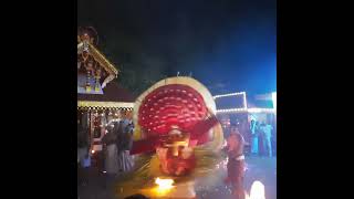 Narambil Bhagavathy | നരമ്പിൽ ഭഗവതി 🙏🙏🙏 #shorts #shortsfeed #theyyam