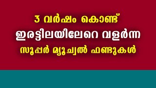 🔥 ഇരട്ടി ലാഭം!!! Super Star Mutual ഫണ്ടുകൾ | ഇപ്പോൾ വാങ്ങിയാൽ ഇരട്ടി വാങ്ങാം 🔥 Sip| Lumpsum