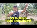 mancing belut babon ditepi rumah || set mata kail abeleh channel memang padu