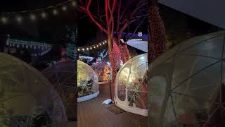 The holidays shine bright at Zoolightful! Happening at Omaha’s Henry Doorly Zoo & Aquarium. 🎄