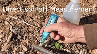 Direct pH measurement in soil with ISFET pH Meter