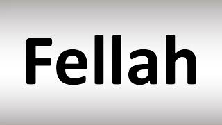 How to Pronounce Fellah