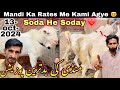 Lalukhet bakra mandi Me Qurbani 2025 Ka Bakra |13-Oct-2024| Lalukhet Bakra Mandi |Bakra mandi