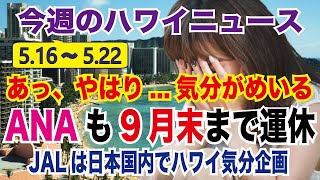 ハワイの現在【観光者が知りたい】週間ニュース・出来事まとめ(5月16日～5月22日)ANAも9月末までホノルル線定期便を運休、JALはハワイを感じる企画開催、NECがハワイ5空港で検温システム稼働