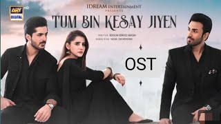 Tum Bin Kesay Jiyen Ost | Full OST | Tum Bin Kaise Jiyen Ost | ARY DIGITAL
