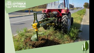 Počela jesenja sadnja drvorednih sadnica u Kragujevcu