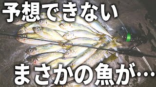 ヤバ過ぎる引き。良型アジが連発する中、まさかの魚が襲い掛かってきた！？秋の本気のライトゲーム。