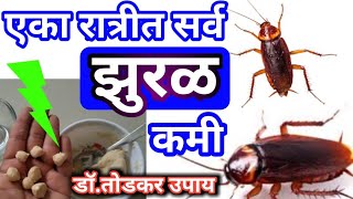 एका रात्रीत झुरळ कमी||remedy for home cockroach||dr.todkar||काँकरोच भगाने का आसान तरीका,cockroach