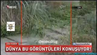 Görünmezlik Pelerini Dünya Bunu Konusuyor!!!