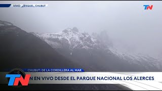 CHUBUT I DE LA CORDILLERA AL MAR: TN desde el Parque Nacional Los Alerces