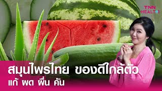 สมุนไพรไทย ของดีใกล้ตัว แก้ ผด ผื่น คัน : TNN Health