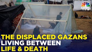 Israel Hamas War: Displaced Gazans Struggle To Survive In Tents Located Close To Rafah | IN18V