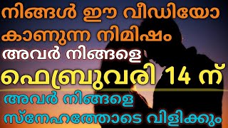 ഈ വീഡിയോ നിങ്ങൾ കണ്ടാൽ ഫെബ്രുവരി 14 ന് അവർ നിങ്ങളെ വിളിക്കും ❤️💯| #tarot