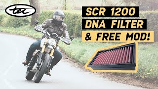 New DNA Filter for Scrambler 1200 - A Free Mod - & How to 'Auto-Adjust'