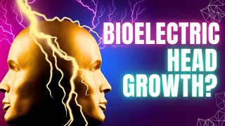 From One Head to Two: The Fascinating Role of Bioelectricity in Regeneration