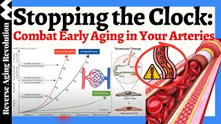 Fountain of Youth for Aging Arteries  - Lifestyles \u0026 Novel Approaches