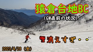 【白馬山麓バックカントリー】GW直前の猿倉台地はいかに？・・下部の雪切れは酷いものの、大斜面は健在!!気温が上がる前のナイスザラメを堪能♪