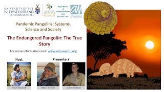 Pandemic Pangolin 8 - The Endangered Pangolin: The True Story 1
