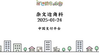 边角料 - 中国支付平台