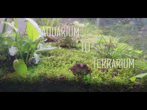 Aquarium to Terrarium Aquarium to Terrarium