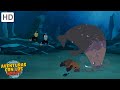 Moras y otras criaturas climáticas frías [episodios completos] Aventuras con los Kratt