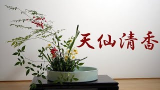 【生け花】お正月にも【ikebana】文人華、南天と水仙で天仙清香