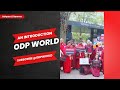 ODP an Introduction | Subscribe @ODPWorld