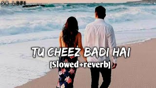 Tu Cheez Badi Hai Mast [Slowed+Reverb] Full song|Lofi Song|Textaudio