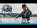 Adriatic Adventures #2 - Chasing Seabass - Topwater fishing in the Adriatic