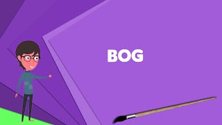 What is Bog? Explain Bog, Define Bog, Meaning of Bog