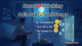 Heart ❤️ Touching Odia Sad Lofi Songs || #humansagar #odia #sad #lofi