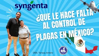 Línea syngenta con la DRA. Teresa Ambriz desde la ANPUAC Puebla Junio 2024,