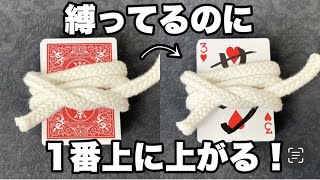 【種明かし】は？なんでその状態で上に上がってくんの・・キモい。