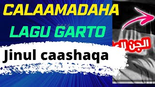 CALAAMADAHA LAGU GARTO JINUL CAASHAQA |SII FAAFI